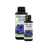 GT AFRICAN VIOLET FOCUS для фиалок
