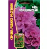 Роза Морщинистая 10 шт РЕДКИЕ СЕМЕНА