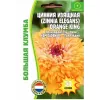 Цинния ORANGE KING изящная  50 шт РЕДКИЕ СЕМЕНА