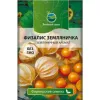Физалис Земляничка Земляничный аромат 30 шт РЕДКИЕ СЕМЕНА