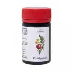 GROBRO FLOMYSTIQ Стимулятор образования завязей