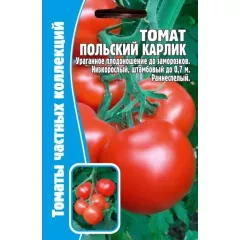 Томат Польский карлик 10 шт РЕДКИЕ СЕМЕНА