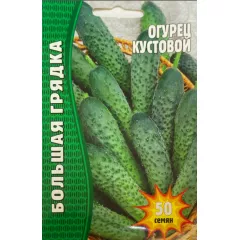 Огурец Кустовой 30 шт РЕДКИЕ СЕМЕНА