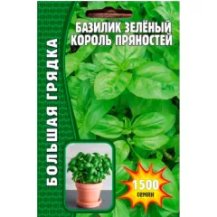 Базилик зелёный Король Пряностей 1500 шт РЕДКИЕ СЕМЕНА