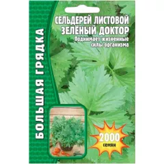 Сельдерей  листовой Зеленый доктор 2000 шт РЕДКИЕ СЕМЕНА