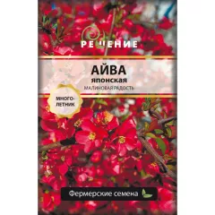 Айва японская Малиновая Радость 10 шт РЕДКИЕ СЕМЕНА