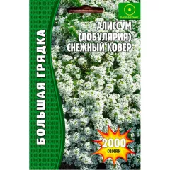 Алиссум Лобулярия Снежный Ковер 1000 шт РЕДКИЕ СЕМЕНА