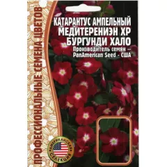 Катарантус ампельный Медитерениэн ХР Бургунди Хало 5 шт РЕДКИЕ СЕМЕНА