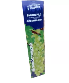 Виноград Алешенькин СЕМЕНА АЛТАЯ