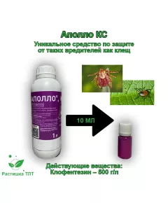 Аполло КС