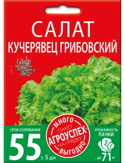 Салат Кучерявец Грибовский 3 г АГРОУСПЕХ МНОГО-ВЫГОДНО