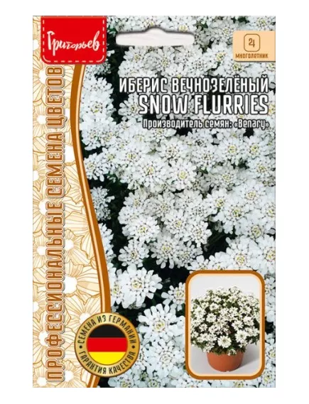 Иберис вечнозеленый SNOW FLURRIES 5 шт РЕДКИЕ СЕМЕНА